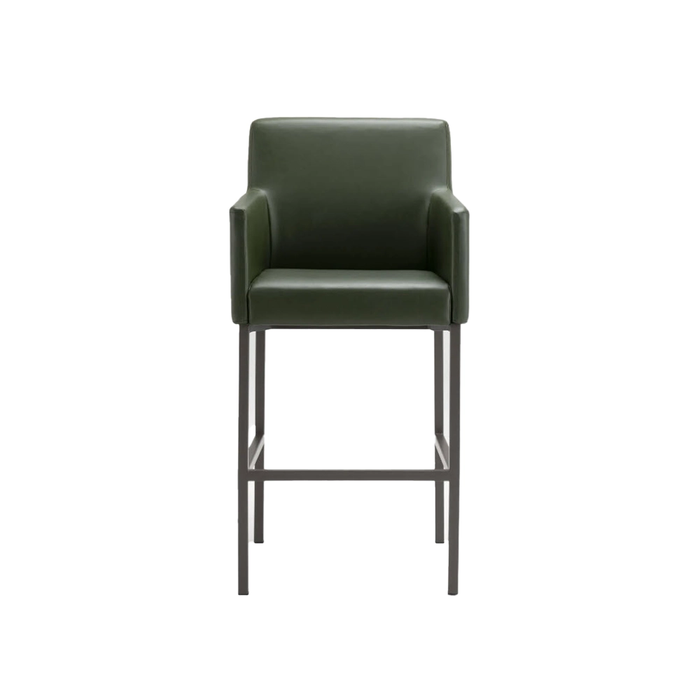 Anne II Counter Stool